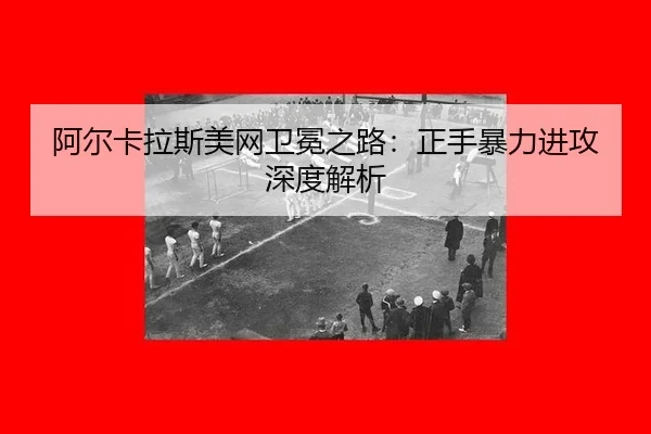 a-er-ka-la-si-mei-wang-wei-mian-zhi-lu-zheng-shou-bao-li-jin-gong-shen-du-jie-xi-3-350.jpg