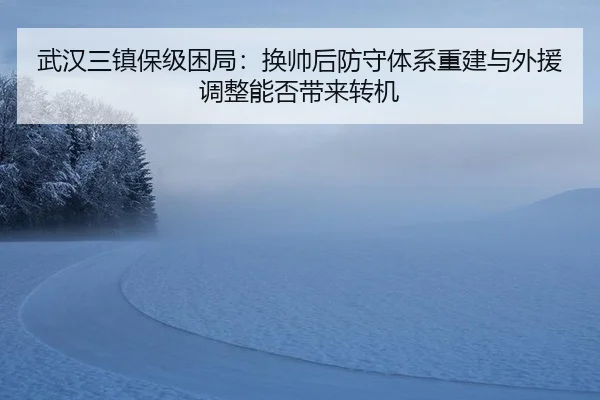 wu-han-san-zhen-bao-ji-kun-ju-huan-shuai-hou-fang-shou-ti-xi-chong-jian-yu-wai-yuan-tiao-zheng-neng-fou-dai-lai-zhuan-ji-3-384.jpg