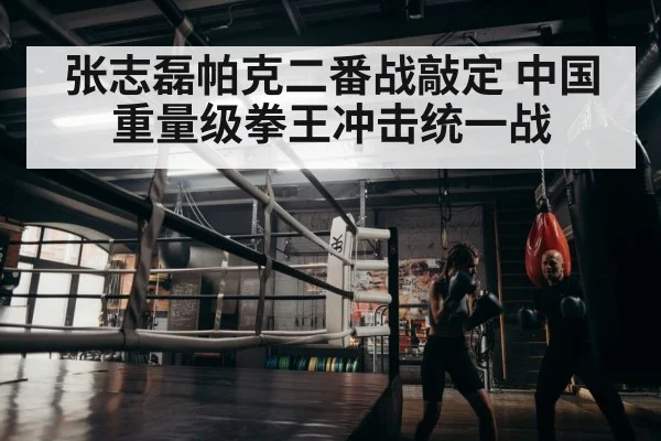 boxer training