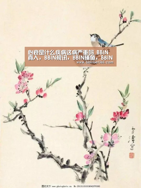 BBIN真人，BBIN视讯，BBIN捕鱼，BBIN国际厅